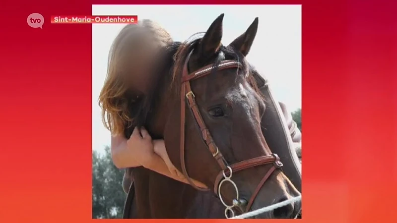 Advocate dochter B&B-uitbaters: "Ze vindt troost bij haar paarden"