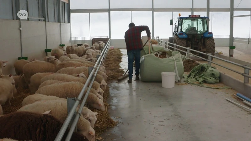 Hoofdafbeelding voor artikel Plattelandspret: Afl. 2 2019