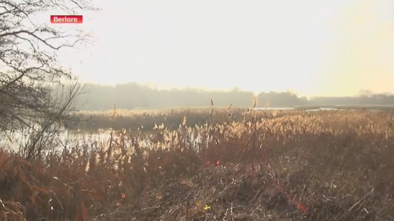 Vzw Durme bestaat 50 jaar en wil stukje Nieuwdonk inlijven als natuurreservaat