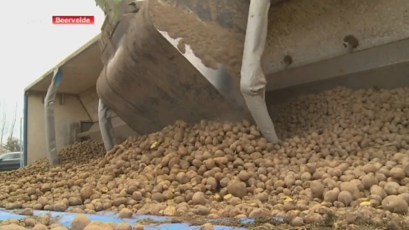 Dertig ton aardappelen op en langs E17 in Beervelde