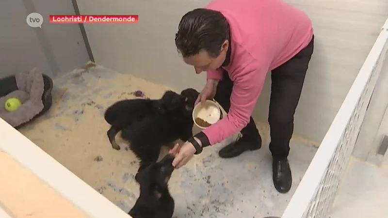 23 verwaarloosde dieren in beslag genomen, zaakvoerder reageert