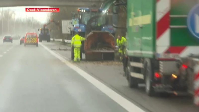 Hoofdafbeelding voor artikel Minister Weyts vraagt aandacht…