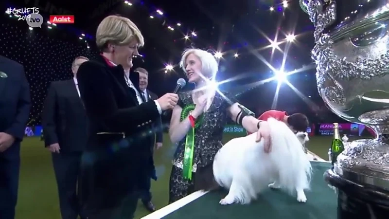 Hond uit Aalst verslaat 20.000 soortgenoten op grootste show ter wereld