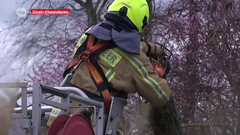 Hoofdafbeelding voor artikel Storm is gaan liggen, maar…