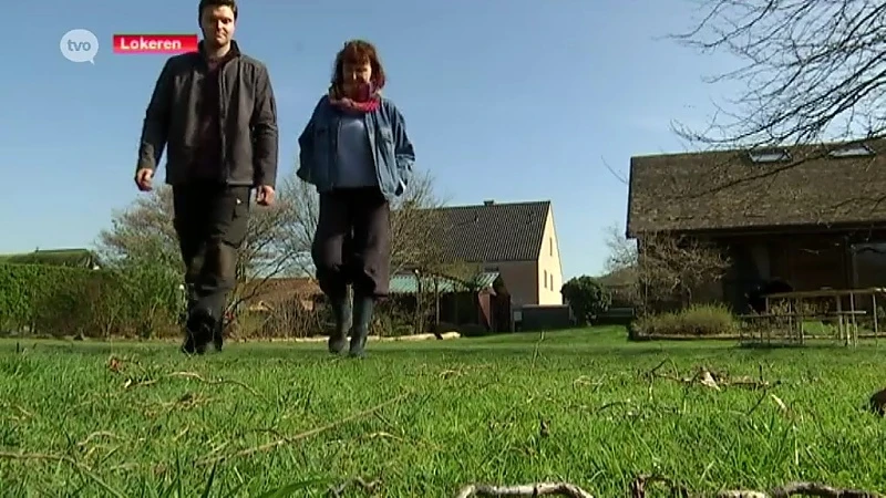 Hoofdafbeelding voor artikel Daar is de lente! Wat te doen…