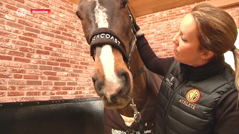 Springt Sint-Niklase amazone Gudrun Patteet met Pebbles naar wereldtitel jumping?