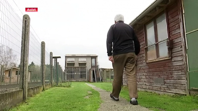 Hoofdafbeelding voor artikel Duivenmelkers zien hun prijsduiven…