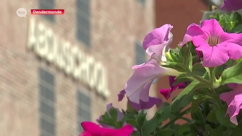 Stad Dendermonde geeft sloopvergunning voor Abdijschool