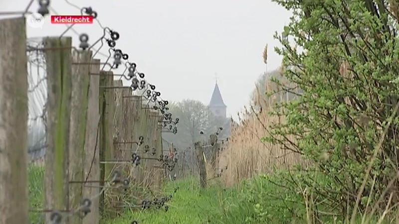 Kieldrecht: Kilometerslange afsluiting met stroomdraad moet vossen uit natuurgebied houden