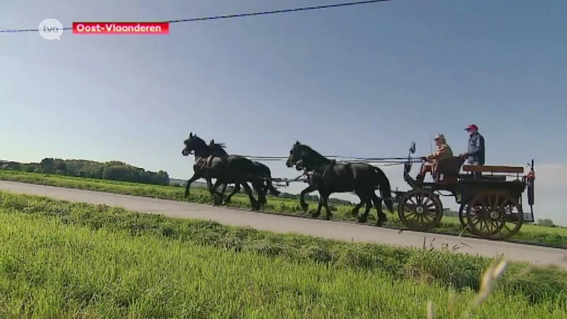 Opgelet: paarden en ruiters op de baan!