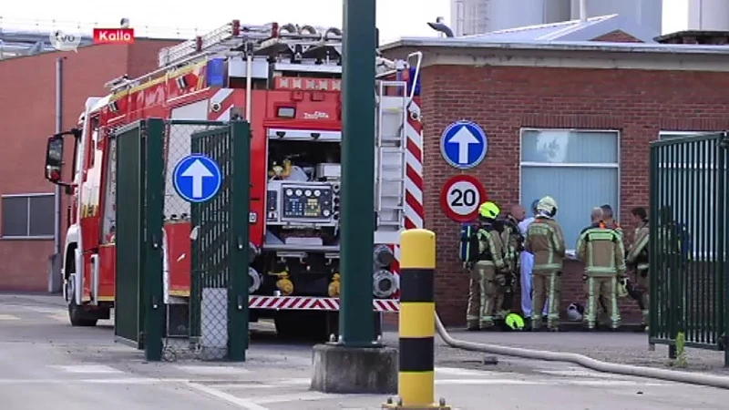 Explosie blaast deel van dak weg bij Milcobel in Kallo
