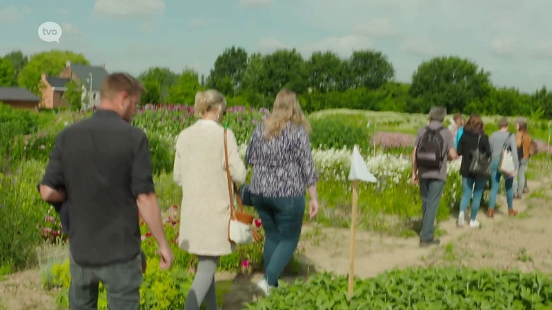 Hoofdafbeelding voor artikel Plattelandspret: Afl. 12 2019