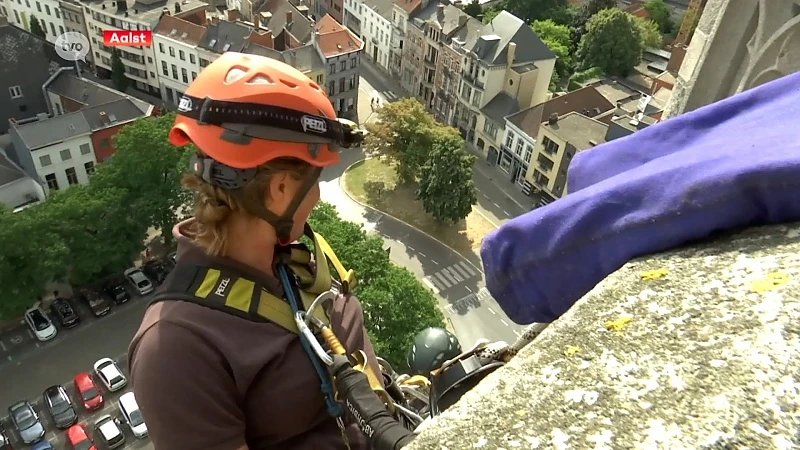Monumentenwachters verwijderen begroeiing op toren Sint-Jozefskerk in Aalst