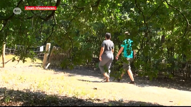 Hoofdafbeelding voor artikel Rookverbod in provinciale…