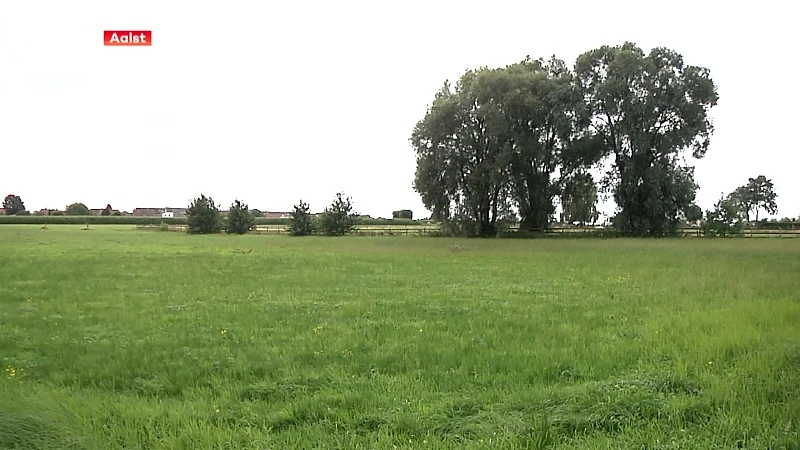 Hoofdafbeelding voor artikel Buren Popperode willen landelijk…