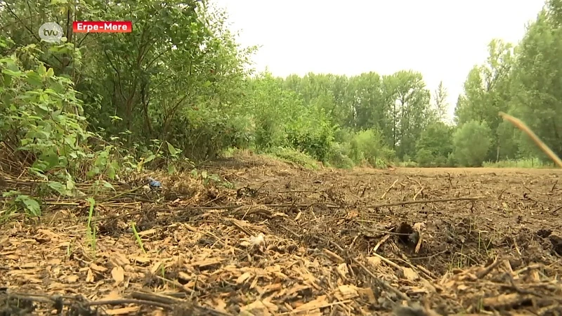 Historisch grasland vernield in Geelstervallei Erpe-Mere