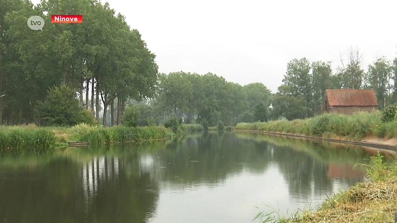Opnieuw blauwalgen op de Dender: zwemmen, vissen en kajakken verboden