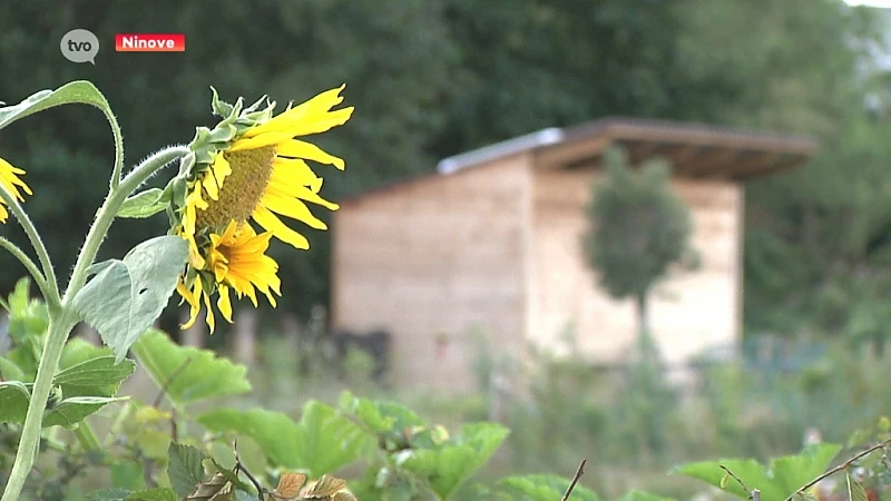 Volkstuinsite ‘Graafland’ officieel geopend: na meer dan twintig jaar eindelijk volkstuinen in Ninove