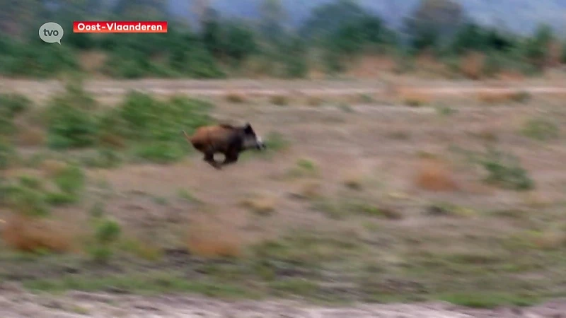 Hoofdafbeelding voor artikel Oost-Vlaanderen maakt zich…