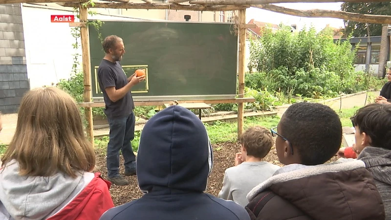 GO! Lyceum Aalst: "Les volgen in een openluchtklas zorgt voor aandachtigere kinderen"