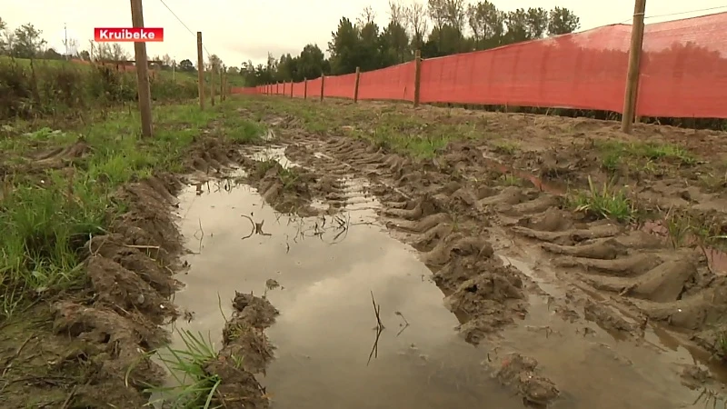 Polderscross Kruibeke mikt op 10.000 toeschouwers