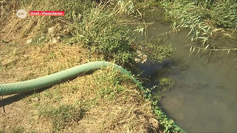 Hoofdafbeelding voor artikel Gouverneur versoepelt captatieverbod