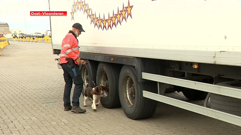 Hoofdafbeelding voor artikel N-VA wil straffen voor transmigranten…