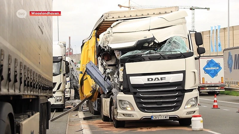 Hoofdafbeelding voor artikel Vrachtwagens botsen in Waaslandhaven:…