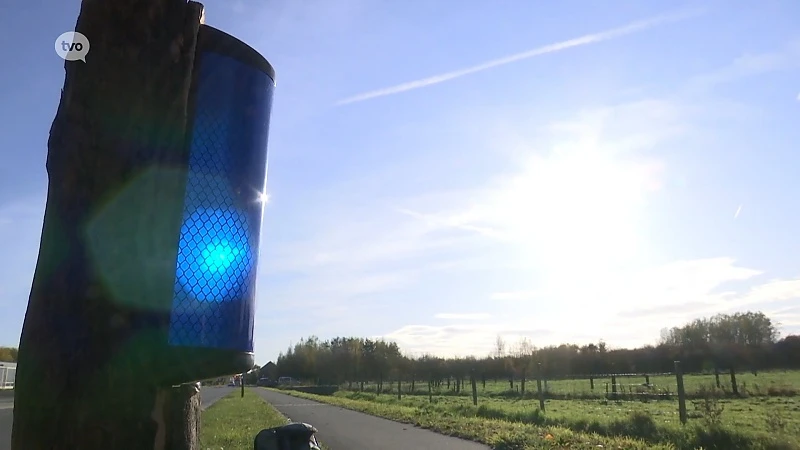 Reewildspiegels aan Buggenhoutbos moeten reeën beschermen tegen aanrijdingen