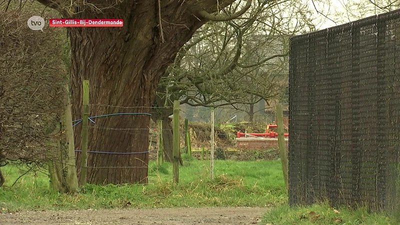 Hoofdafbeelding voor artikel TV Oost Nieuws van zondag…