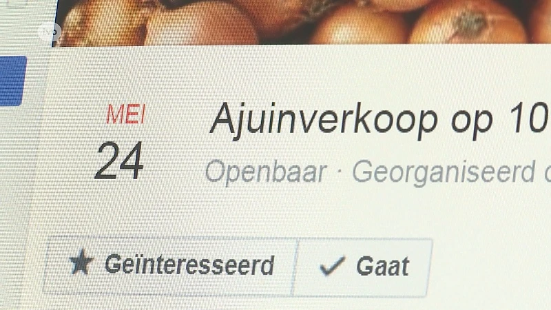 Aalstenaar organiseert ajuinverkoop in Dendermonde op 101 meter van Ros Beiaard