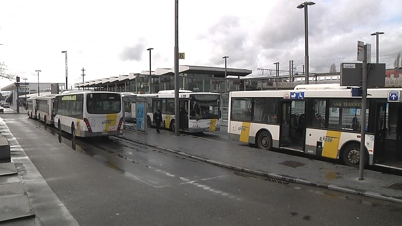 Jongen steekt Belgische buschauffeur van De Lijn neer in Hulst