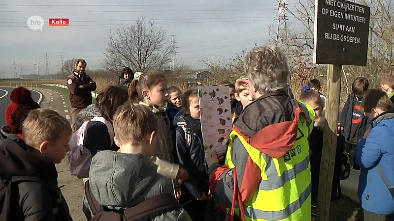 Leerlingen wijzen rugstreeppad de weg naar nieuw voortplantingsparadijs