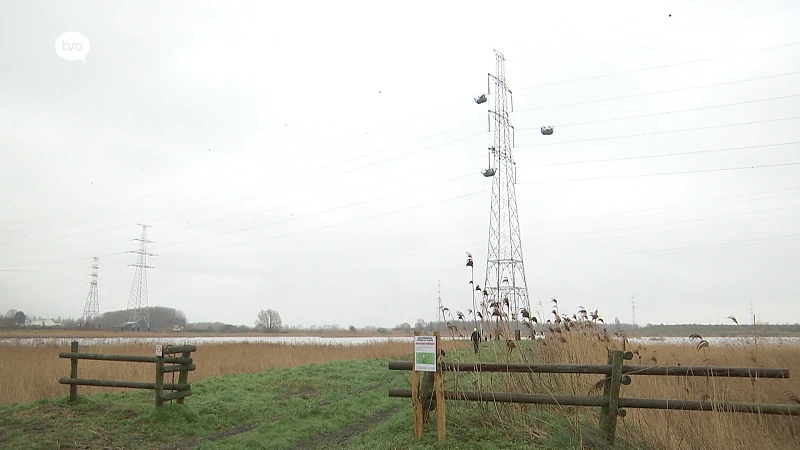 Elia maakt luchtlijn van Kallo overdag en ''s nachts zichtbaar voor vogels