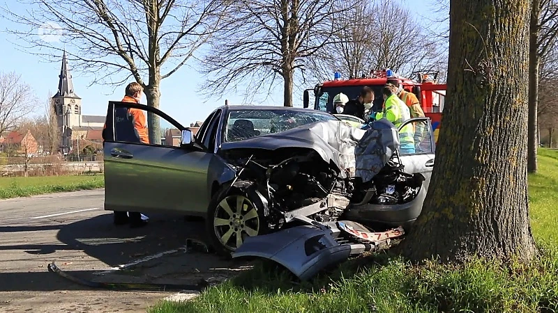 Oudere man zwaargewond na crash tegen boom in Waasmunster