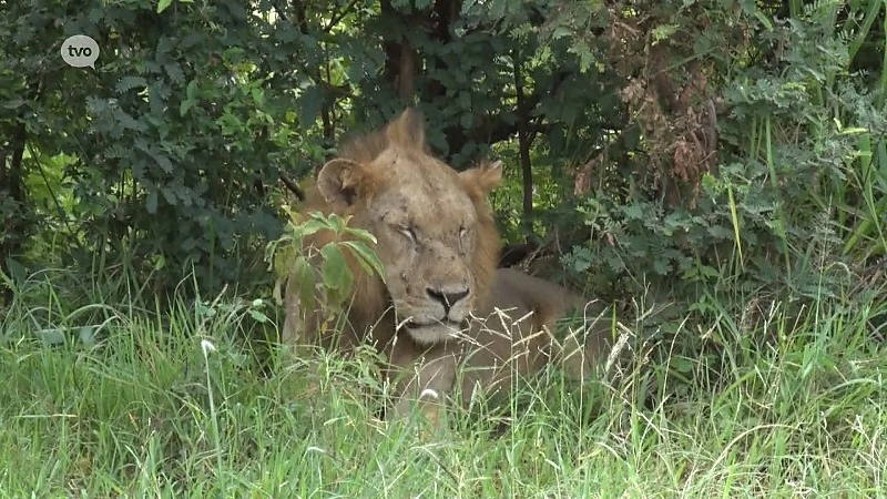 Hoofdafbeelding voor artikel Aalsterse scholen op inleefreis…