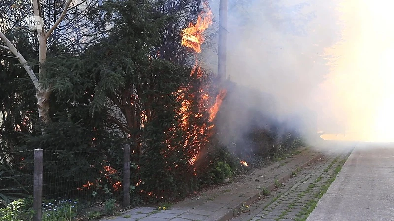Struikbrand in droge heidestreek in Waasmunster