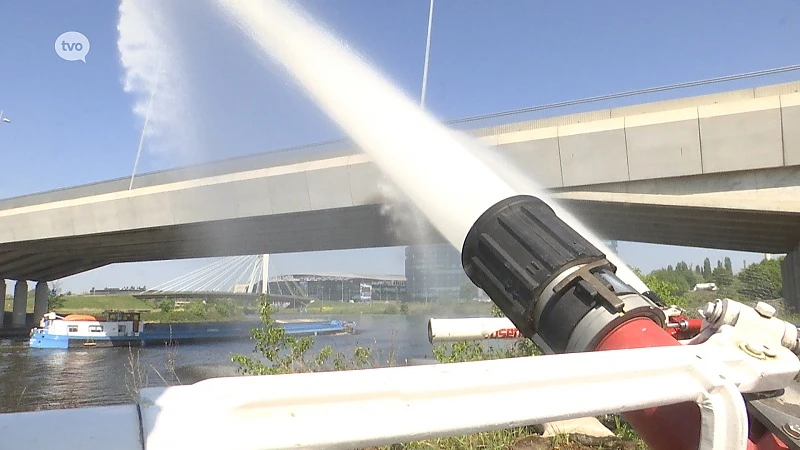 Ramp vermeden, geen vissterfte in onze wateren