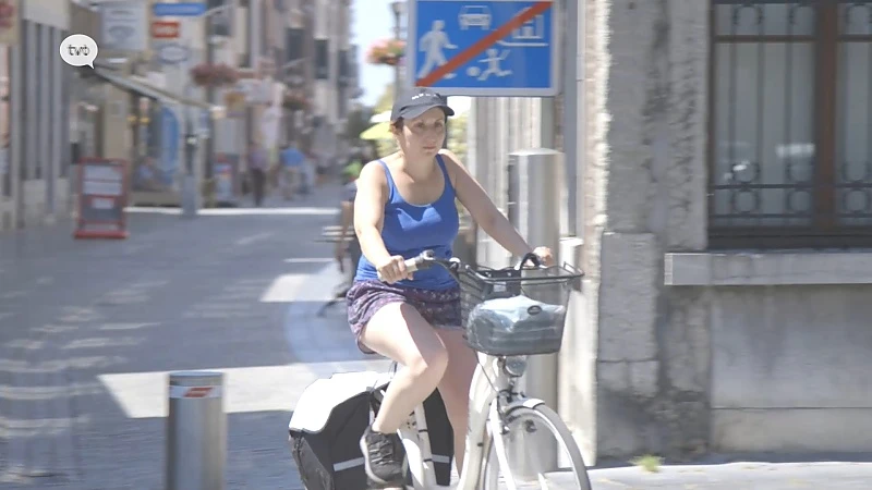 Hoofdafbeelding voor artikel Maaseik