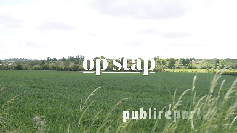 Hoofdafbeelding voor artikel Helshoven