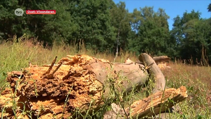 Hoofdafbeelding voor artikel Code oranje: verhoogd risico…