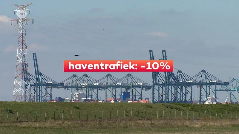 Coronacrisis - Haventrafiek daalt met 10 procent, impact op tewerkstelling