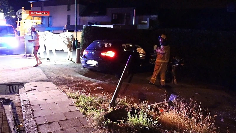 Bestuurster gewond na verkeersongeval in Uitbergen