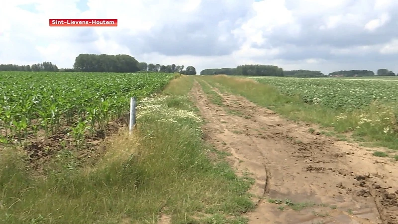 Sint-Lievens-Houtem: Erosiebestrijdingsplan moet modderstromen voorkomen