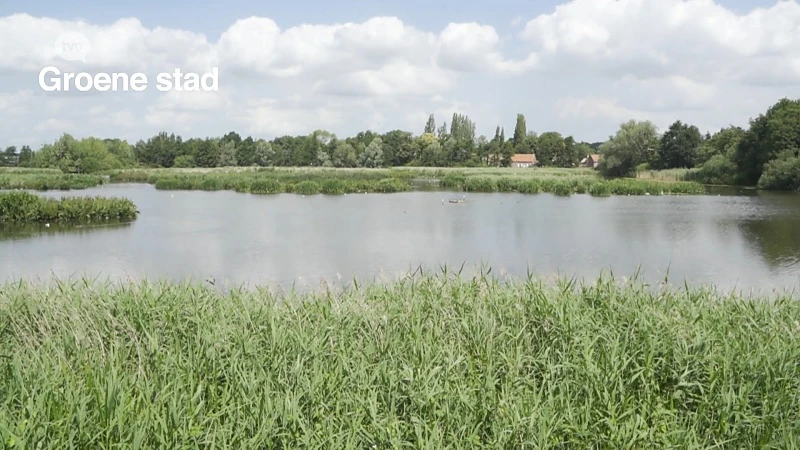 Zomertip - Toerisme Lokeren