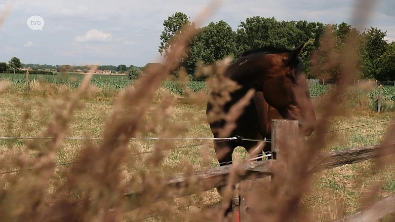 Zomertip - Overnachten in de Vlaamse Ardennen