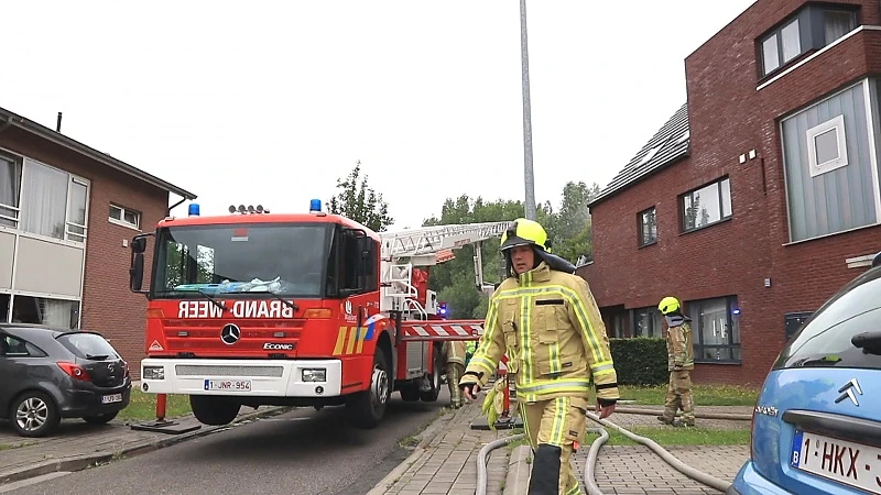 Twee katten overleven appartementsbrand in Temse niet