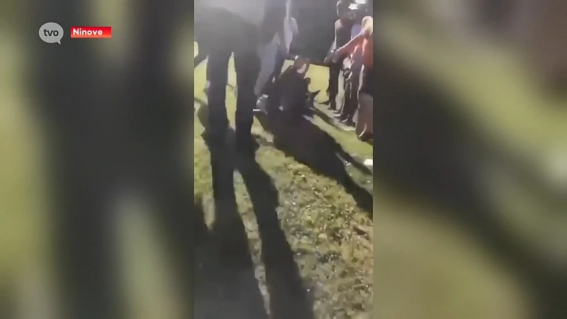 Onderzoek naar schokkend schopfilmpje van vechtpartij in stadspark Ninove