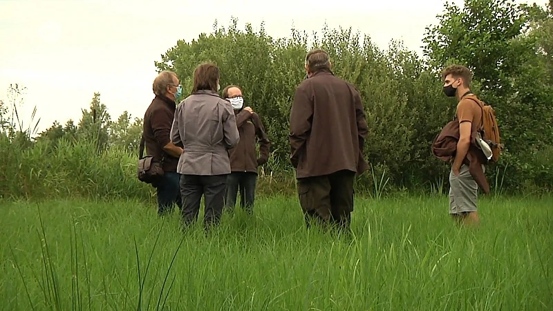 Vzw Durme moet groen rond provinciaal domein Nieuwdonk omtoveren tot één groot natuurgebied