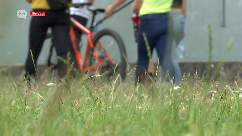 Onderzoek naar jeugdbendes Ninove: 7 minderjarigen gearresteerd, 2 geplaatst